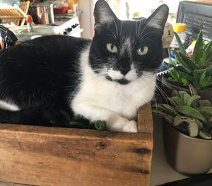 Meet your Posher, Liliana